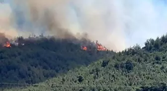 HATAY'DA YANGIN SON DAKİKA! Hatay'da orman yangını söndürüldü mü, son durum nedir? Hatay'da orman yangını nerede çıktı?