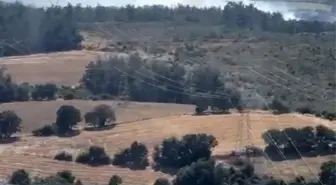 Çanakkale'deki Orman Yangını Kontrol Altına Alındı