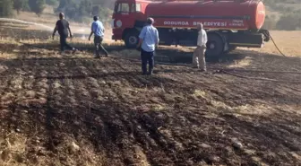 Çorum'da Mangal Yangınında 6 Dekar Alan Zarar Gördü