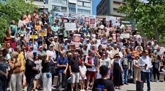 Sahipsiz Sokak Hayvanlarına Yönelik Ötenazi İçeren Kanun Teklifine Tepki