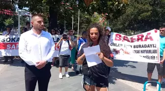 Hayvan Hakları Savunucuları Samsun'da Eylem Yaptı