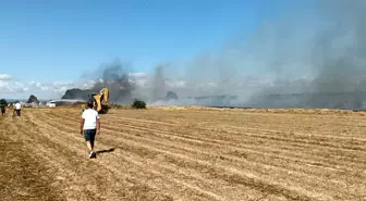 Tekirdağ'ın Saray ilçesinde anız yangını çıktı