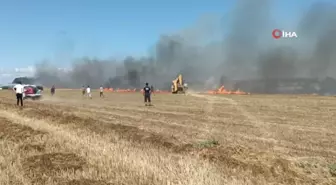 Tekirdağ'da anız yangını