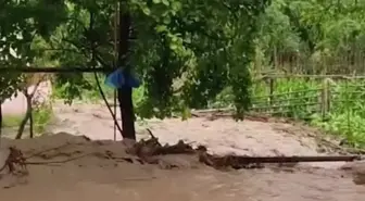 Artvin'de aşırı yağışlar tarım arazilerine ve köy yollarına zarar verdi