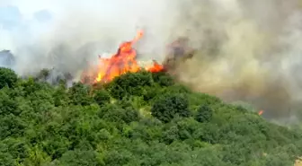 Çanakkale'de Orman Yangını Kontrol Altına Alındı