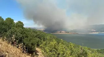 Çanakkale'de Tarım Arazisinde Çıkan Yangına Müdahale Ediliyor