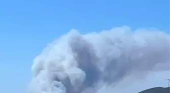 Çeşme'de Orman Yangınına Havadan ve Karadan Müdahale