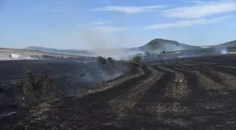 Keşan'da çıkan anız yangını söndürüldü