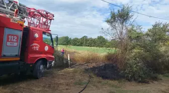 Sinop'un Gerze ilçesinde çıkan örtü yangını, büyümeden söndürüldü