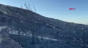 Çeşme'deki Orman Yangınında 3 Kişi Hayatını Kaybetti