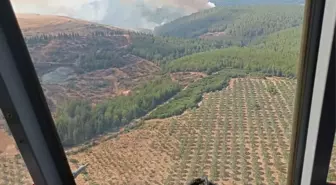 İzmir Menderes'te Orman Yangınına Müdahale Ediliyor