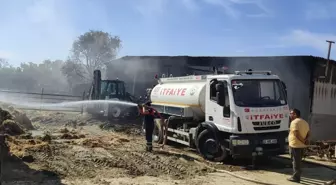 Keşan'da Ahır Yangınında 35 Büyükbaş Hayvan Öldü