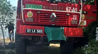 Zonguldak'ın Alaplı ilçesinde fındık bahçesinde yangın çıktı