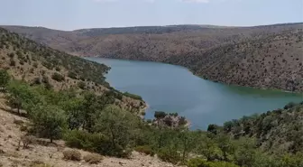 Kırıkkale'de Karaahmetli köyünde sürek avı düzenlendi