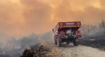 Balıkesir'de tarım arazisinde başlayan yangına havadan ve karadan müdahale