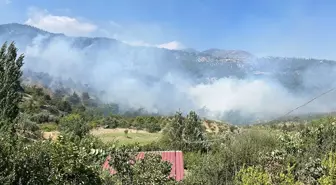 Hatay'ın Belen ilçesinde ormanlık alanda çıkan yangın kontrol altına alındı