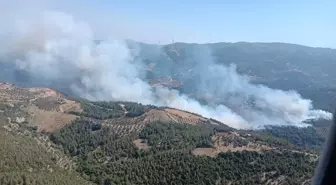 Hatay'ın Belen ilçesinde ormanlık alanda çıkan yangın kontrol altına alınıyor