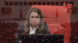 TBMM Genel Kurulu, Başkanvekili Gülizar Biçer Karaca'nın rahatsızlanması nedeniyle yarına ertelendi