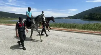 Abant Gölü Milli Parkı'nda Atlı Jandarma Timleri Görev Yapıyor