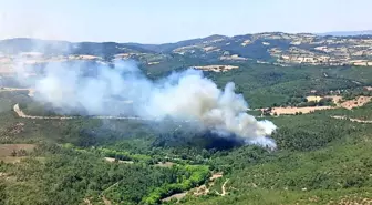 Balıkesir'deki Ormanda Yangına Havadan ve Karadan Müdahale