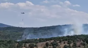 Bursa'da Orman Yangınına 2 Helikopterle Müdahale Ediliyor