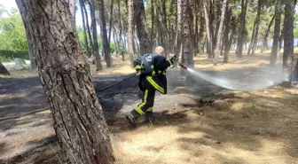 Orhangazi'de İznik Gölü sahilinde çamlık tesislerinde yangın çıktı