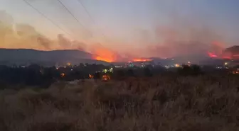 İzmir Foça'da çıkan orman yangını kontrol altına alındı