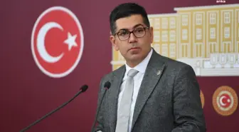 CHP Milletvekili, sokak hayvanlarına ötanazi uygulamasını eleştirdi