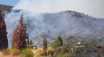 İzmir'deki orman yangını kontrol altına alındı