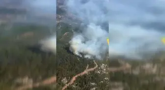 İzmir'in Bergama ilçesinde orman yangını çıktı