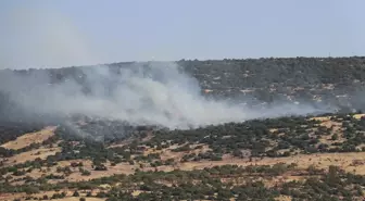 Kilis'teki Orman Yangını Havadan ve Karadan Söndürüldü