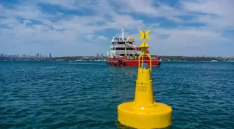 Marmara'daki deniz çayırları şamandıralarla korunacak