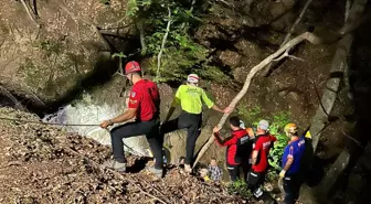 İnegöl'de Odun Toplamak İçin Gittiği Ormanda Hayatını Kaybetti