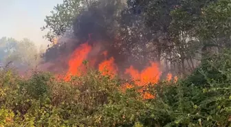 Edirne'de Katı Atık Depolama Tesisi Yangını Kontrol Altına Alındı