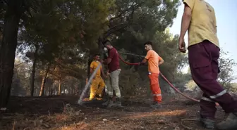 Balıkesir'deki Orman Yangını Kontrol Altına Alınmaya Çalışılıyor