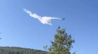 İzmir'in Bergama ilçesinde çıkan orman yangını kontrol altına alındı