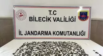 Bilecik'te Roma dönemine ait 794 adet sikke ve 3 adet obje ele geçirildi