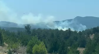 Orhaneli'de Orman Yangını Kontrol Altına Alınmaya Çalışılıyor