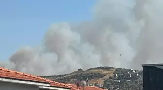 İzmir'in Foça ilçesinde orman yangınına müdahale