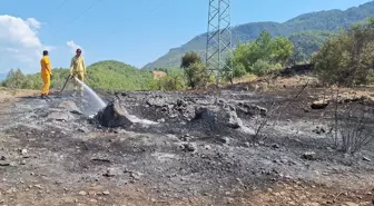 Antalya'nın Kumluca ilçesinde orman yangını kontrol altına alındı