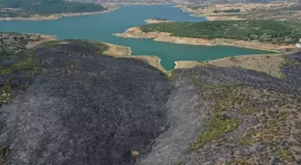 Balıkesir'de çıkan yangına neden olan zanlı tutuklandı