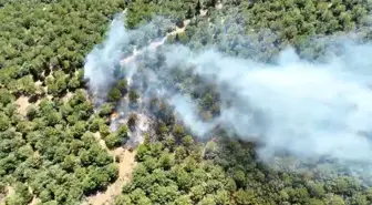 Çanakkale'de Orman Yangınına Havadan ve Karadan Müdahale