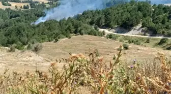 Bilecik'teki tarlada çıkan yangın söndürüldü