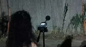 Bodrum'da bin 204 işletmeye ses ve gürültü denetimi