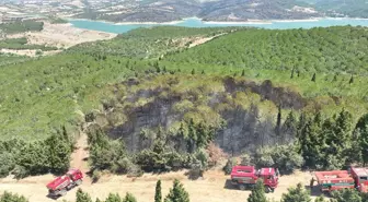 Çanakkale'de Orman Yangınına Havadan ve Karadan Müdahale Ediliyor