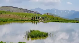 Faraşin Yaylası, besicilerin tercihi