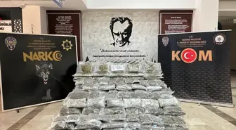 Hamzabeyli Sınır Kapısı'nda 266 kilo 489 gram skunk ele geçirildi, sürücü tutuklandı