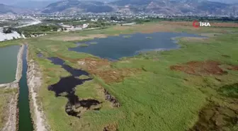 Kışın yağan yağmurlarla dolan kuş cenneti kavurucu sıcaklara göçmen kuşlara ev sahipliği yapıyor