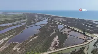 'Kızılırmak Deltası Kuş Cenneti'nde 'kuraklık' tehdidi: Yok olma riski