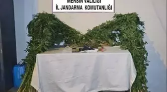 Anamur'da Uyuşturucu Taciri Yakalandı